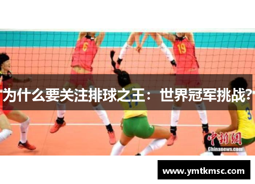 为什么要关注排球之王：世界冠军挑战？